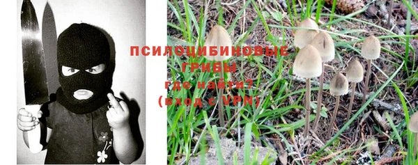 а пвп мука Бородино