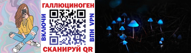 hydra зеркало  Якутск  Псилоцибиновые грибы Psilocybine cubensis 